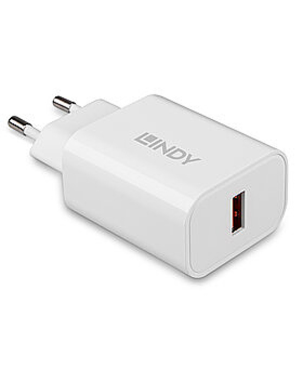 Lindy 73412 chargeur d'appareils mobiles Smartphone, Tablette Blanc Secteur Charge rapide Intérieure, Extérieure