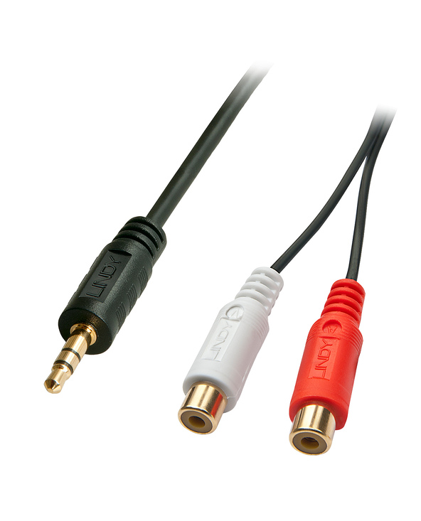 Lindy 35678 câble audio 0,25 m 2 x RCA 3,5mm Noir, Rouge, Blanc