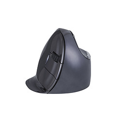 BakkerElkhuizen BNEEVRDW souris Droitier RF sans fil Laser 3200 DPI