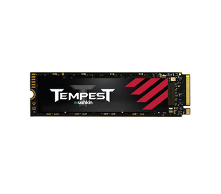 Mushkin Tempest M.2 256 Go PCI Express 3.0 3D NAND NVMe