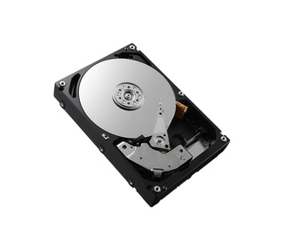 DELL 161-BBQD disque dur 3.5" 4 To NL-SAS