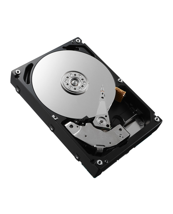 DELL 161-BBQD disque dur 3.5" 4 To NL-SAS