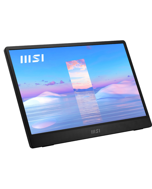 MSI Pro MP161 15.6" LED Full HD 4 ms Noir