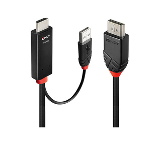 Lindy 41498 câble vidéo et adaptateur 1 m HDMI + USB Type-A DisplayPort Noir
