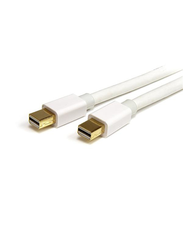 StarTech.com Câble Mini DisplayPort de 2m - Vidéo Ultra HD 4K x 2K - Câble Mini DisplayPort 1.2 - Câble Mini DP vers Mini DP pou