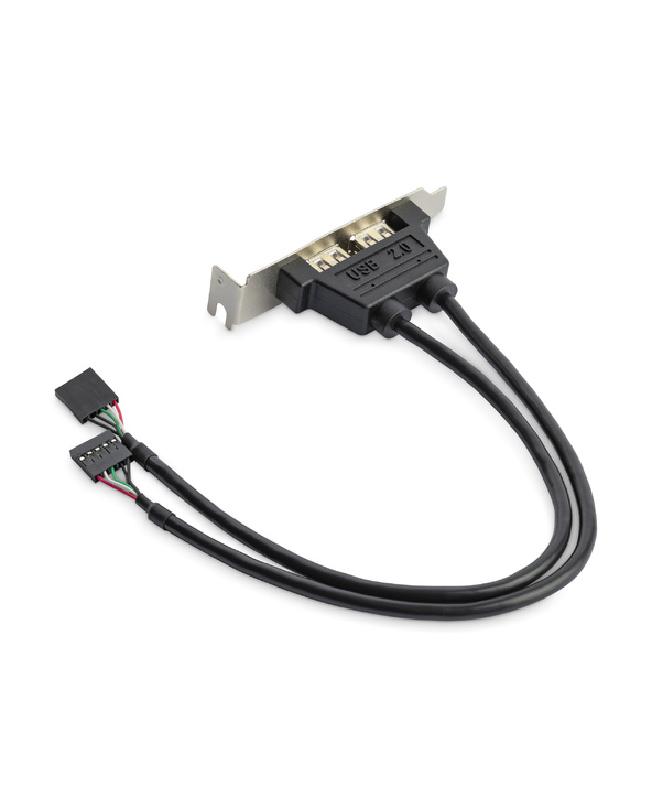 StarTech.com Equerre USB 2 ports - Adaptateur Slot USB - Faible Encombrement (LP)
