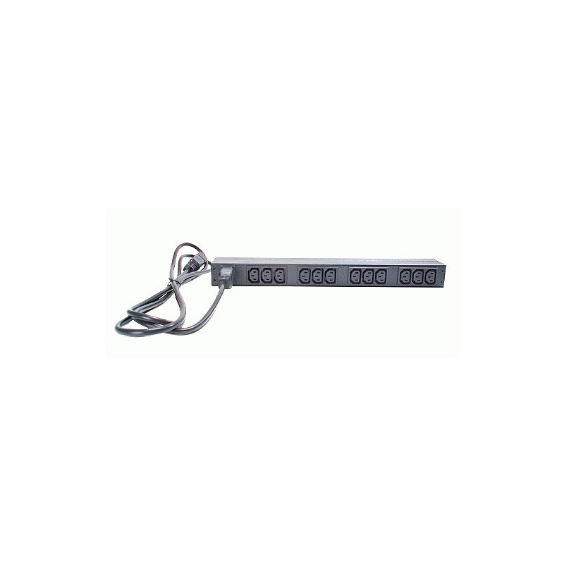 APC Basic Rack PDU unité de distribution d'énergie 12 sortie(s) CA 0U/1U Noir