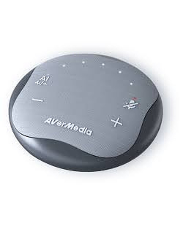 AVerMedia 61AS315000AE haut-parleur Universel USB Type-C Gris