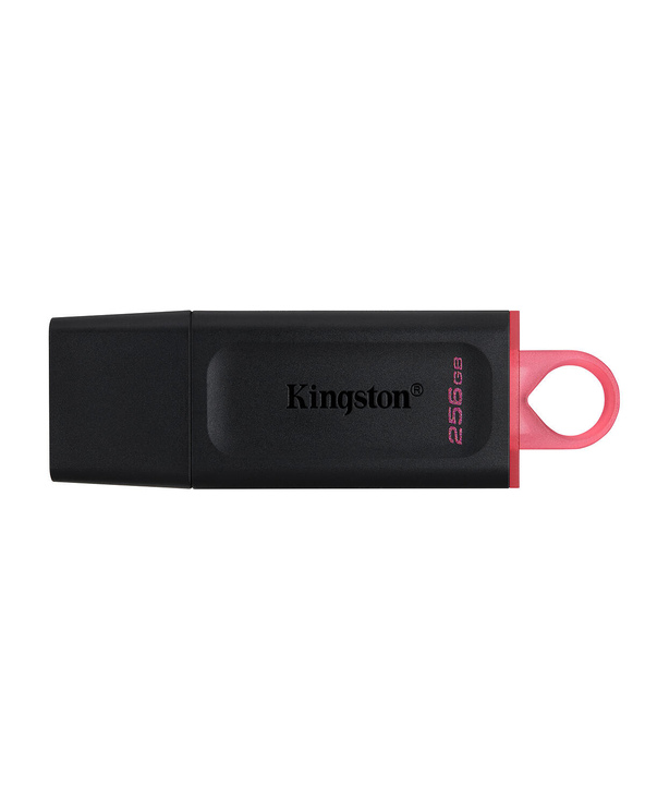 Kingston Technology DataTraveler Exodia lecteur USB flash 256 Go USB Type-A 3.2 Gen 1 (3.1 Gen 1) Noir