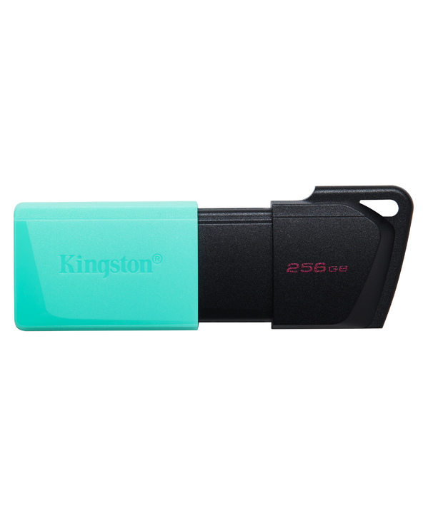 Kingston Technology DataTraveler 256GB USB3.2 Gen1 Exodia M (Noir + Turquoise)