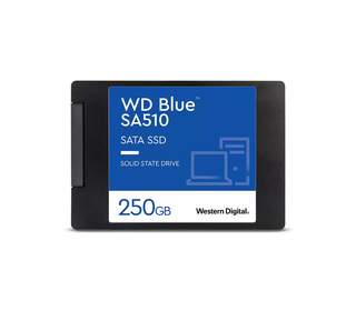 Western Digital Blue SA510 2.5" 250 Go Série ATA III