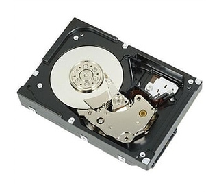 DELL 400-AUPW disque dur 3.5" 1 To Série ATA III