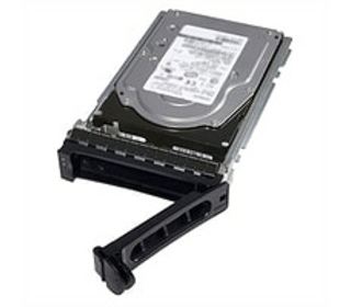 DELL 400-AURS disque dur 3.5" 1 To Série ATA III