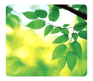 Fellowes Tapis Earth Series Feuilles