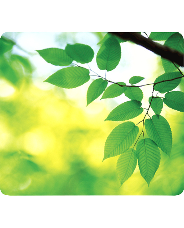 Fellowes Tapis Earth Series Feuilles