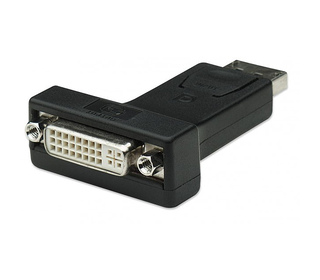 Techly IADAP-DSP-229 changeur de genre de câble DisplayPort DVI-I Noir