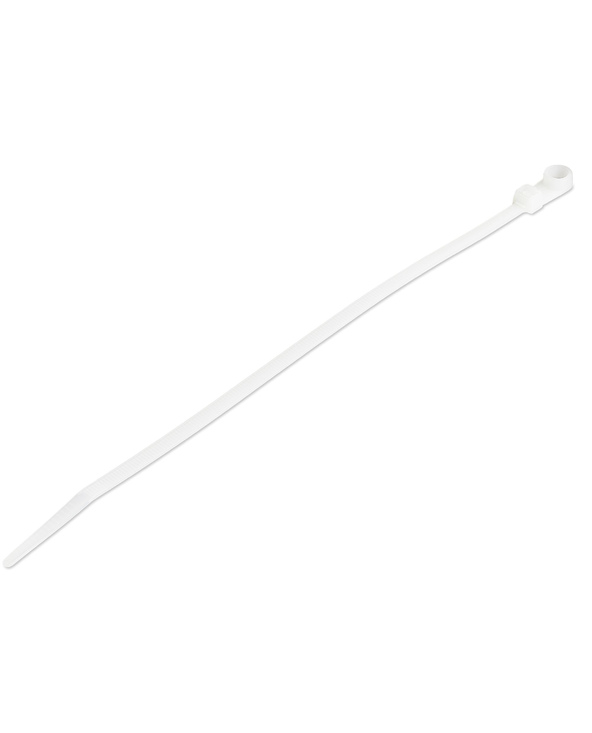 StarTech.com Colliers de Serrage avec Trous de Montage 20 cm - Largeur 4 mm - Diam. de faisceau 52 mm - Résistance 22 kg - Colli