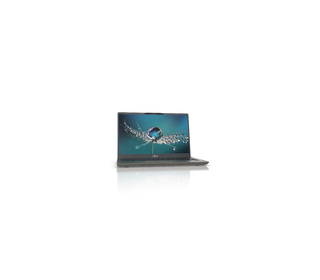 Fujitsu LIFEBOOK U7411 14" I5 8 Go Argent 256 Go