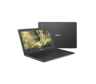 ASUS Chromebook C204MA-GJ0203 11.6" CELERON 4 Go Gris