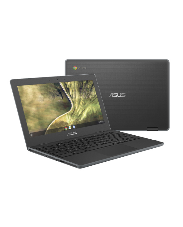 ASUS Chromebook C204MA-GJ0438 11.6" CELERON 4 Go Gris