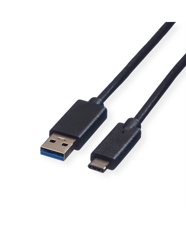ROLINE Câble USB 3.1, A-C, M/M 1 m