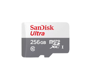 SanDisk Ultra 256 Go MicroSDXC UHS-I Classe 10