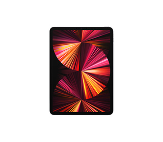 Apple iPad PRO 11" 128 Go Gris