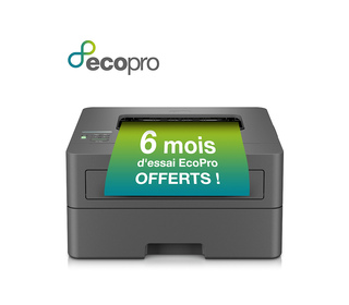 Brother HL-L2400DWE imprimante laser 1200 x 1200 DPI A4 Wifi