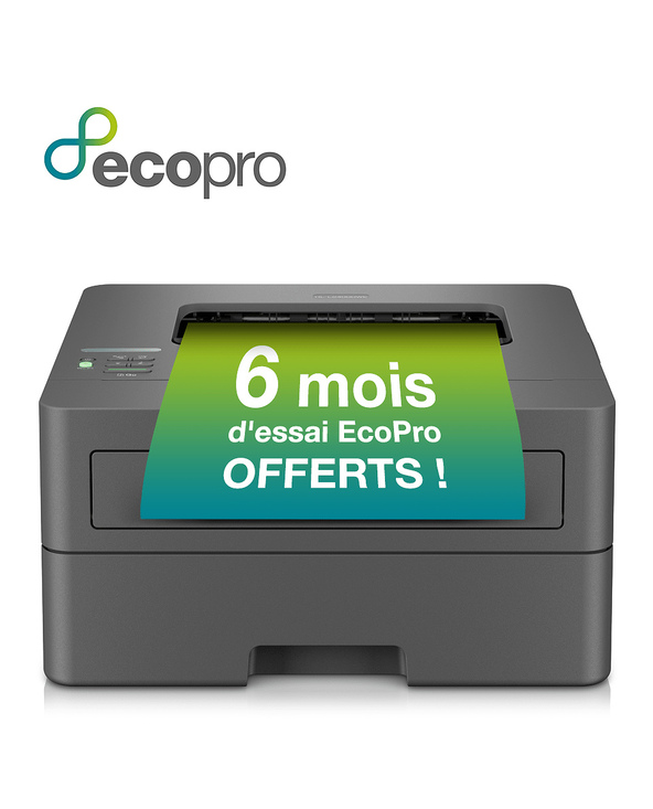 Brother HL-L2400DWE imprimante laser 1200 x 1200 DPI A4 Wifi