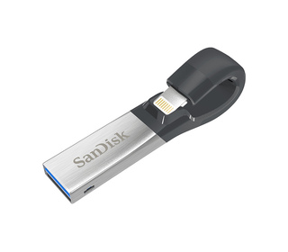 SanDisk iXpand lecteur USB flash 64 Go USB Type-A / Lightning 3.2 Gen 1 (3.1 Gen 1) Noir, Argent