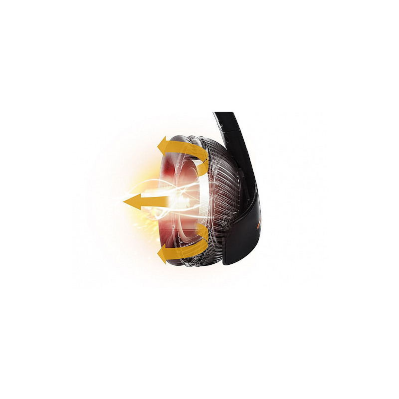 23022981