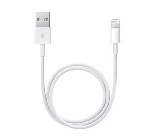 Apple Lightning / USB 0,5 m Blanc