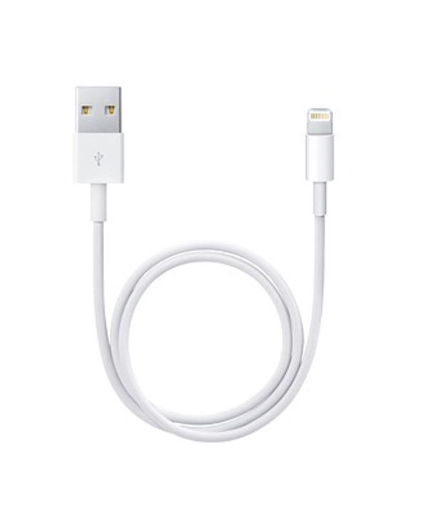 Apple Lightning / USB 0,5 m Blanc