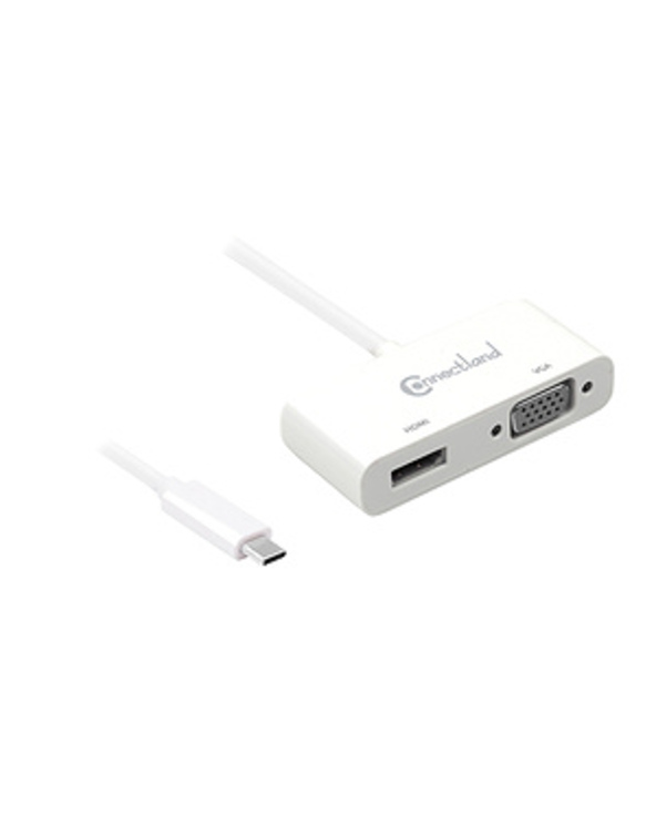 Connectland AD-USB-C-TO-HDMI-VGA-BOX câble vidéo et adaptateur USB Type-C HDMI + VGA (D-Sub) Blanc
