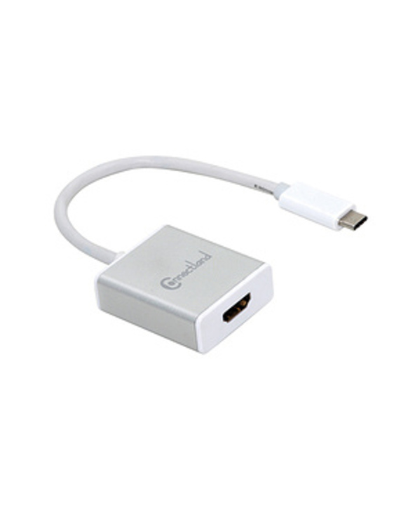 Connectland AD-USB-C-TO-HDMI-F-BOX câble vidéo et adaptateur USB Type-C Blanc
