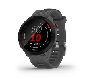 Garmin 010-02562-13 smartwatche et montre de sport MIP 42 mm Numérique 208 x 208 pixels Écran tactile Gris GPS (satellite)