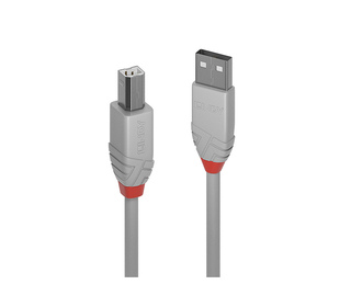 Lindy 36683 câble USB 2 m USB 2.0 USB A USB B Gris