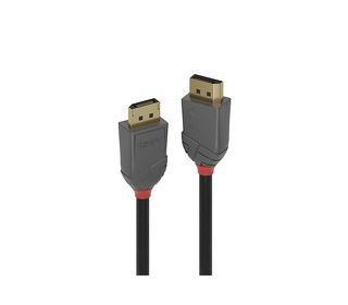 Lindy 36480 câble DisplayPort 0,5 m Noir
