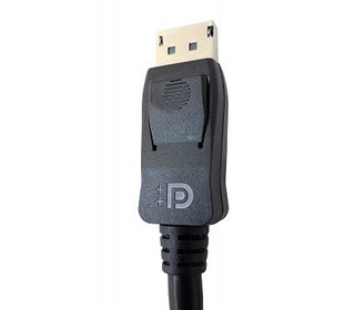Techly ICOC-DSP-A14-010 câble DisplayPort 1 m Noir