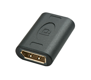 Lindy 41020 changeur de genre de câble DisplayPort Noir