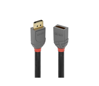Lindy 36495 câble DisplayPort 0,5 m Noir