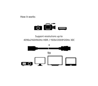 56150960