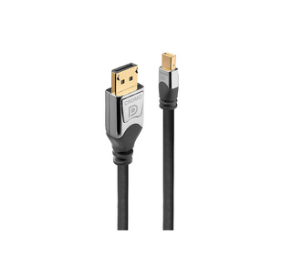 Lindy 36312 câble DisplayPort 2 m Mini DisplayPort Gris