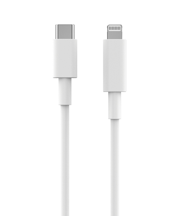 2GO 795848 câble Lightning 1 m Blanc