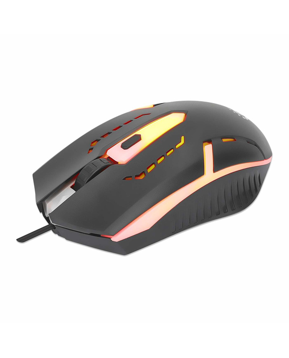 Manhattan 190206 souris Ambidextre USB Type-A Optique 1500 DPI