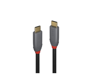 Lindy 36901 câble USB 1 m USB C Noir, Gris