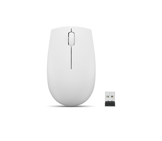 Lenovo 300 WIRELESS MOUSE?GREY souris Ambidextre RF sans fil Optique 1000 DPI