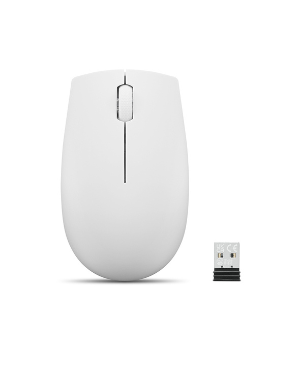 Lenovo 300 WIRELESS MOUSE?GREY souris Ambidextre RF sans fil Optique 1000 DPI
