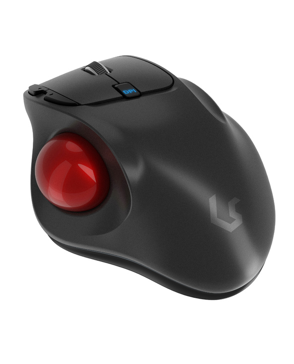 KeySonic KSM-6101RF-EGT souris Droitier RF sans fil 1000 DPI