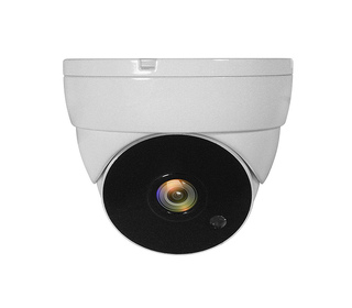 LevelOne ACS-5302 caméra de sécurité Dôme Caméra de sécurité CCTV Intérieure et extérieure Plafond
